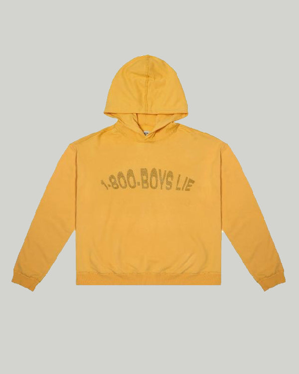 1-800-Boys-Lie Hoodie