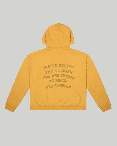 1-800-Boys-Lie Hoodie