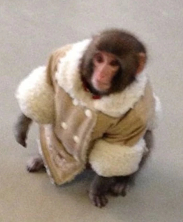 IKEA Monkey Brown Shearling Jacket